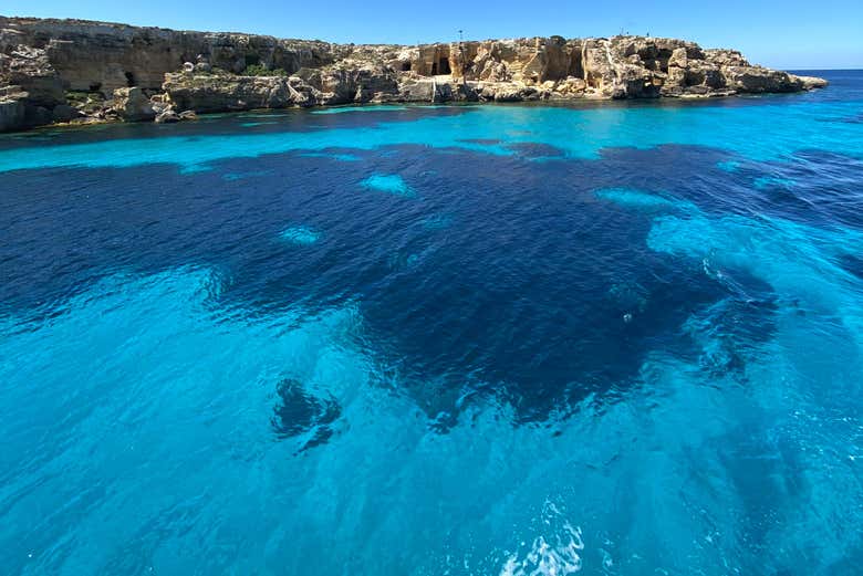 Bue Marino-Favignana