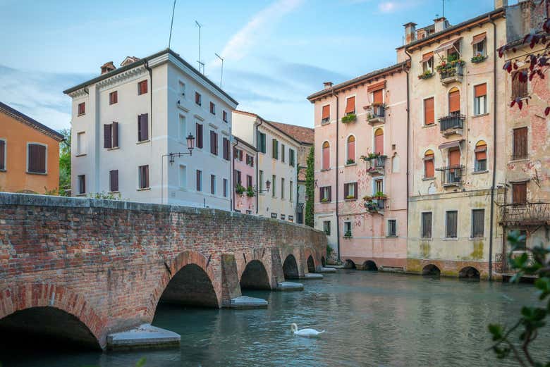 Canales y puentes de Treviso