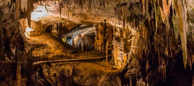 Excursión a la cueva Postojna y el castillo de Predjama