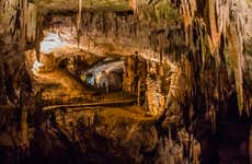 Excursión a la cueva Postojna y el castillo de Predjama