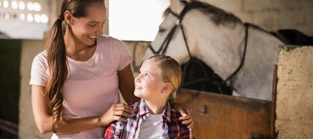 Excursión a Lipica y cuevas de Skocjan
