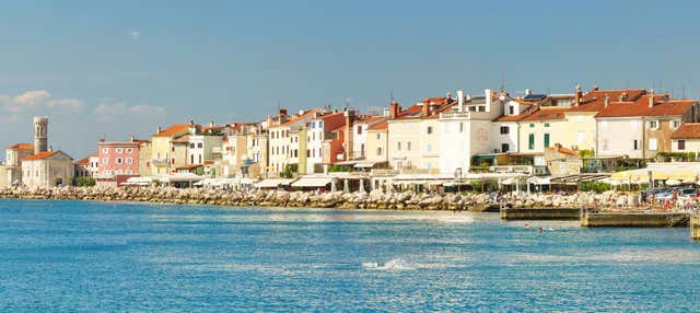 Escursione a Pirano e alla costa slovena