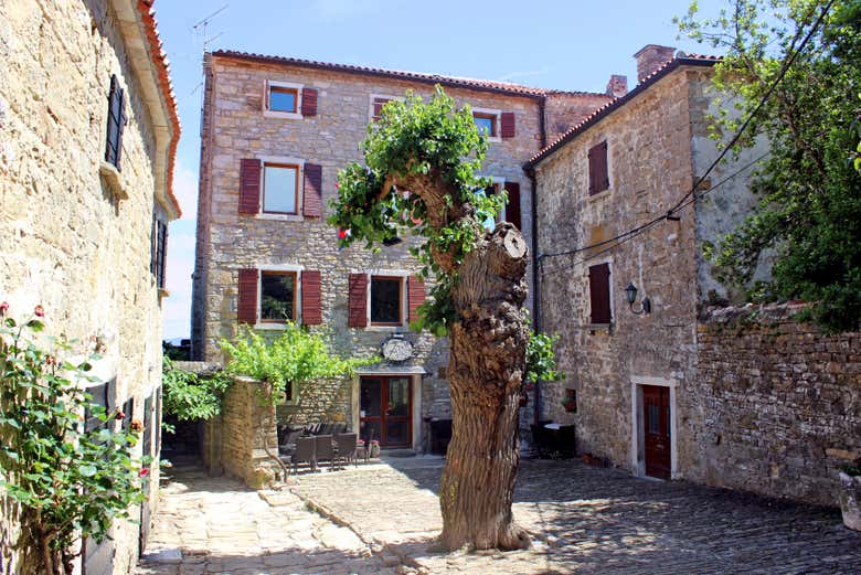 Centre de Grisignana
