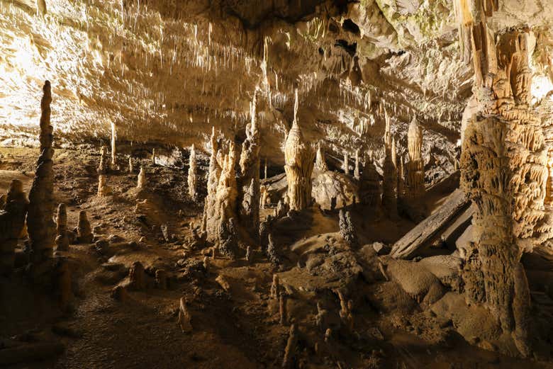 Stalactites dans la grotte de Postojna