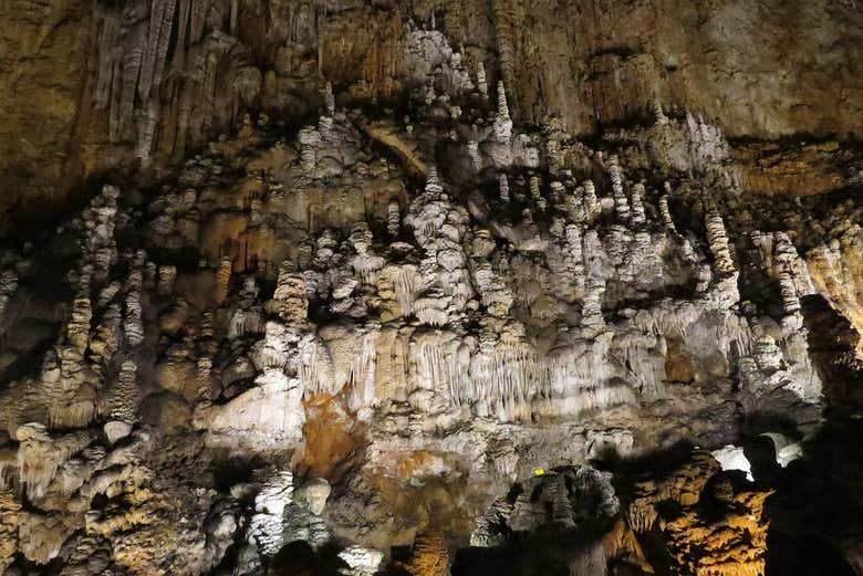 Alla scoperta della Grotta Gigante