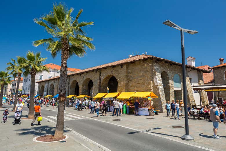 Koper