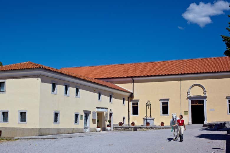 Exterior de una caballería de Lipica