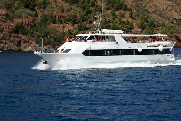Le bateau pendant l'activité
