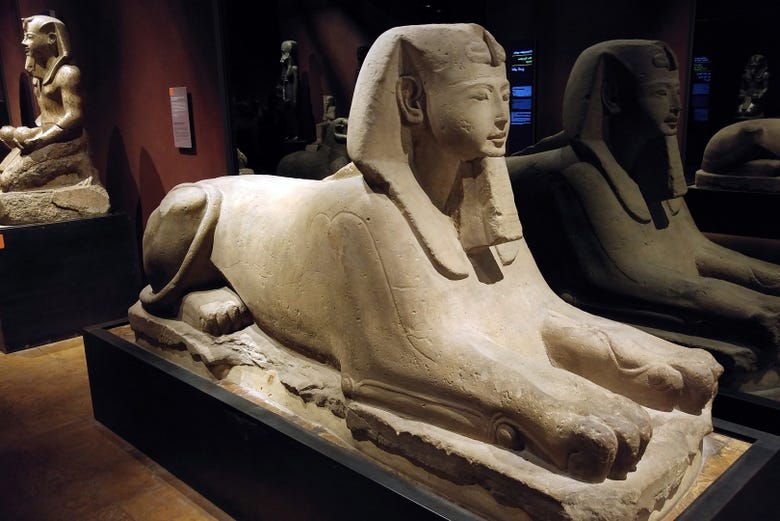 Sarcofagi del Museo Egizio di Torino