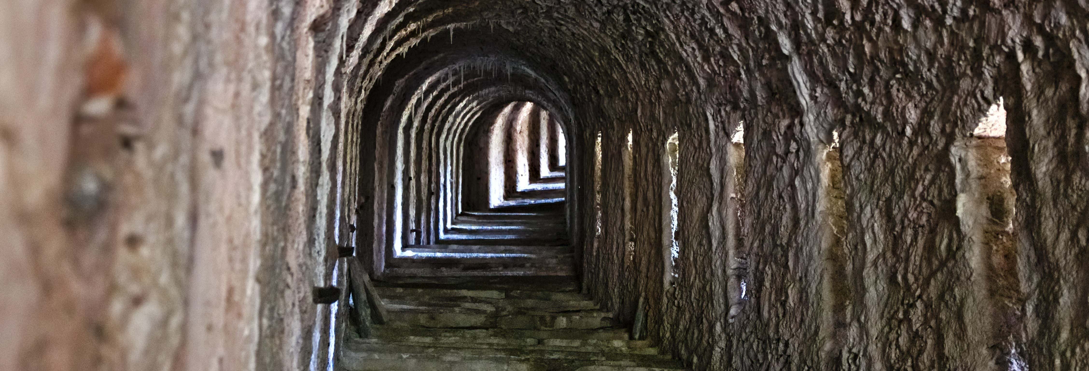 Visitas guiadas y free tours en Turín