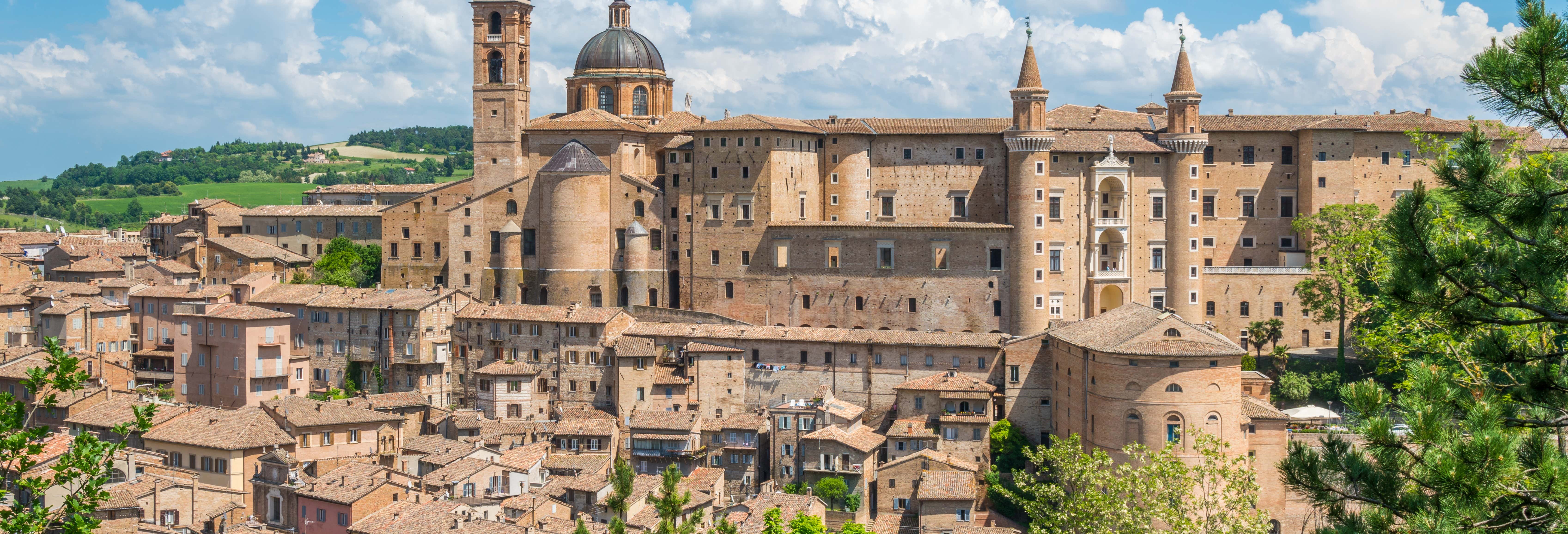 Urbino