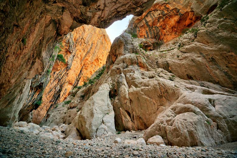 Le alte pareti rocciose della Gola di Gorropu