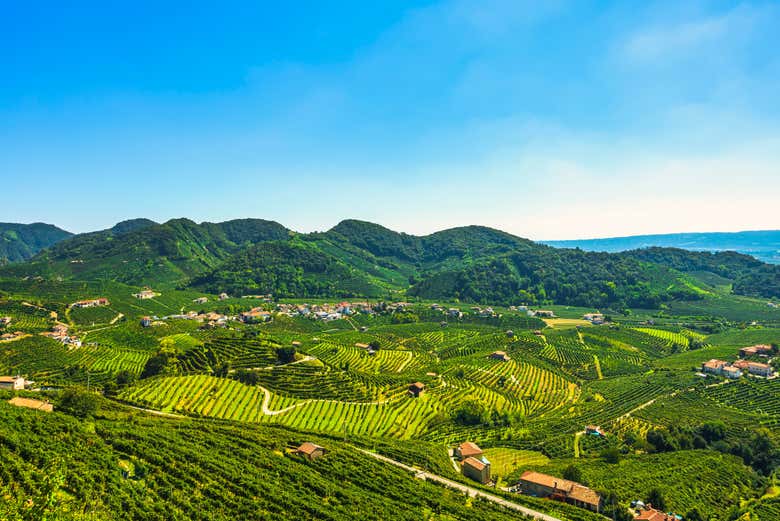 Paisajes de Valdobbiadene