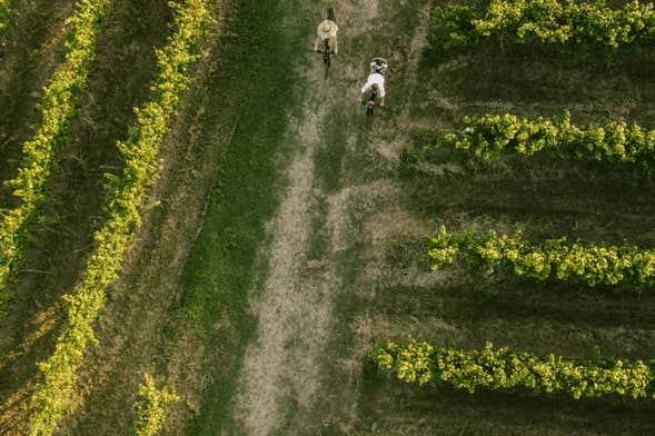 Visita alla cantina Corte Fornello + Noleggio bici elettrica