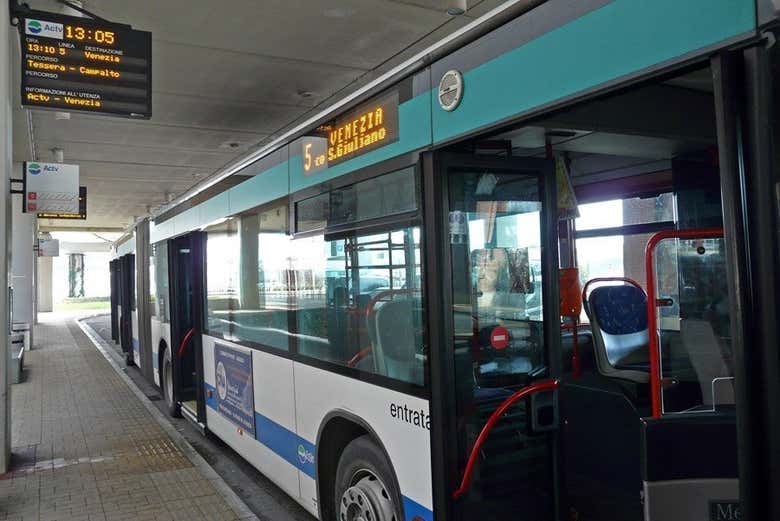 Venice's Buses