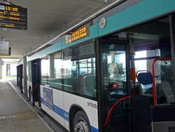 Bus de Venise