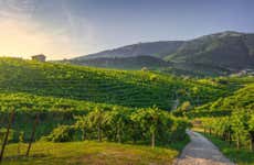 Tour do prosecco pelas colinas de Valdobbiadene