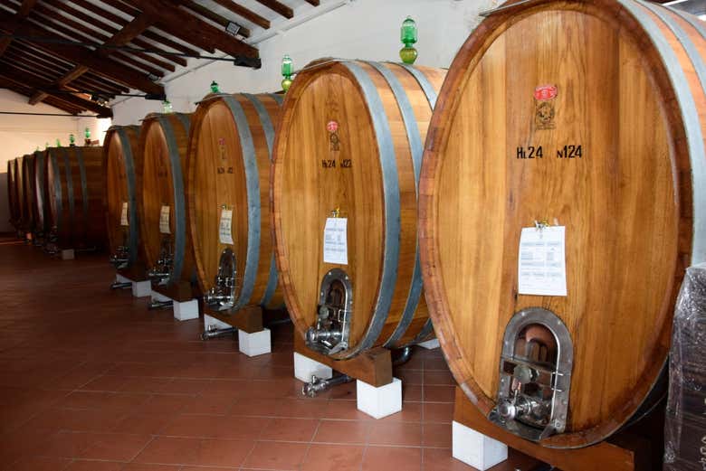 Sala de barricas