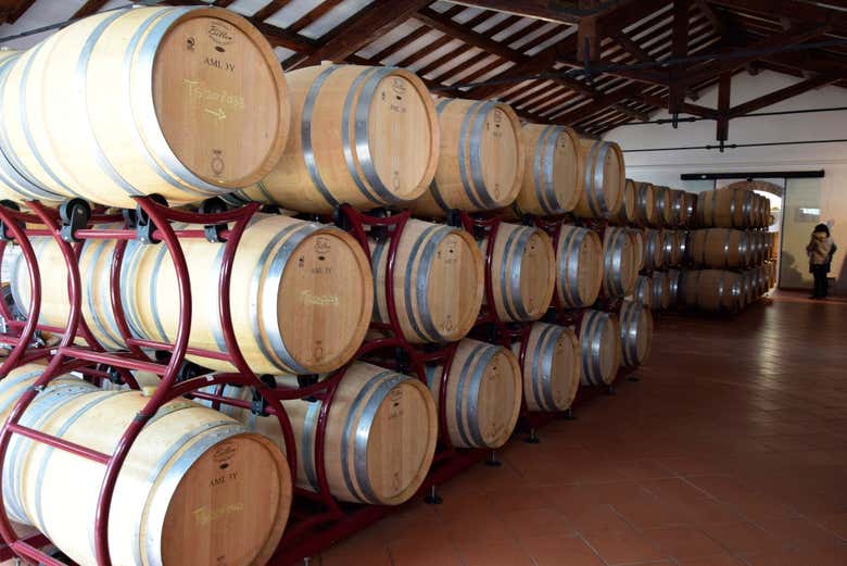 Visitando las bodegas Re Manfredi