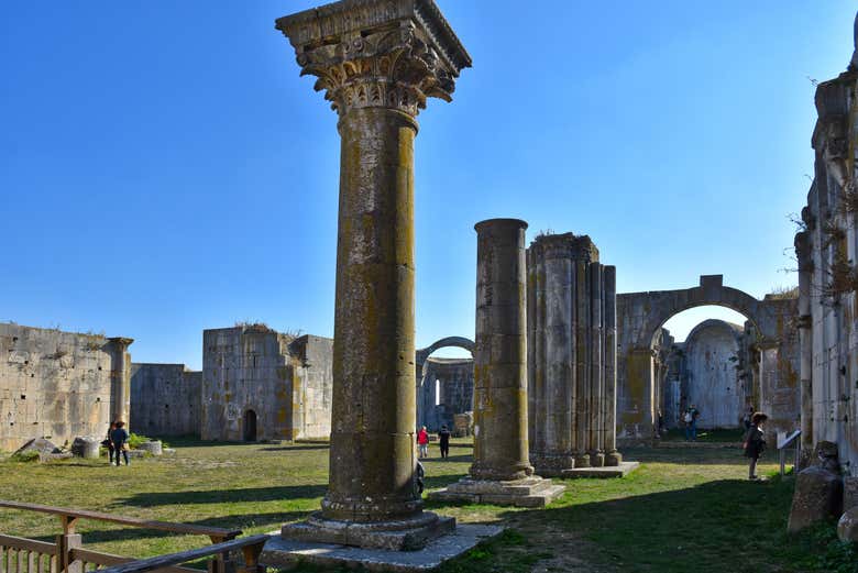Visita al parco archeologico di Venosa