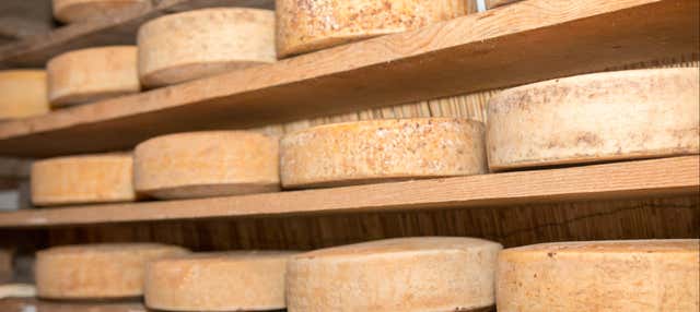 Degustazione di formaggi a Verona