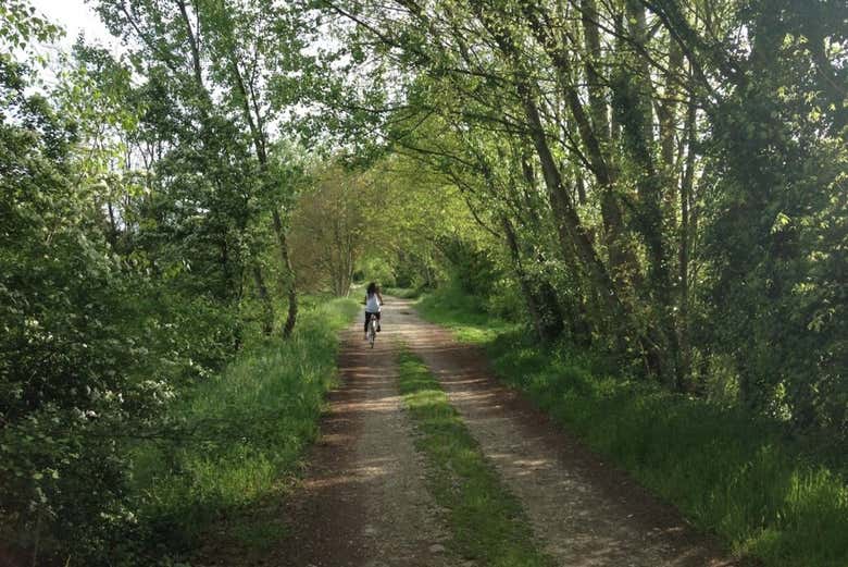 Visite à la découverte du vin en vélo électrique