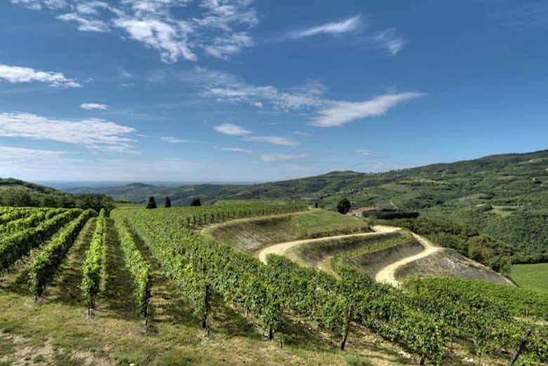 Campagne près de Vérone