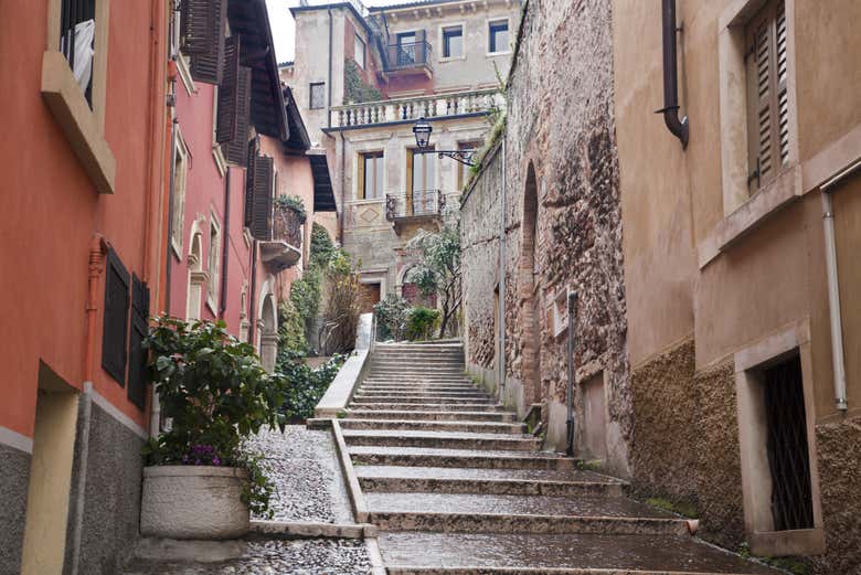 The Hills of Verona Tour photo