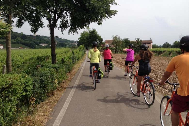 Pedalling on our electric bikes