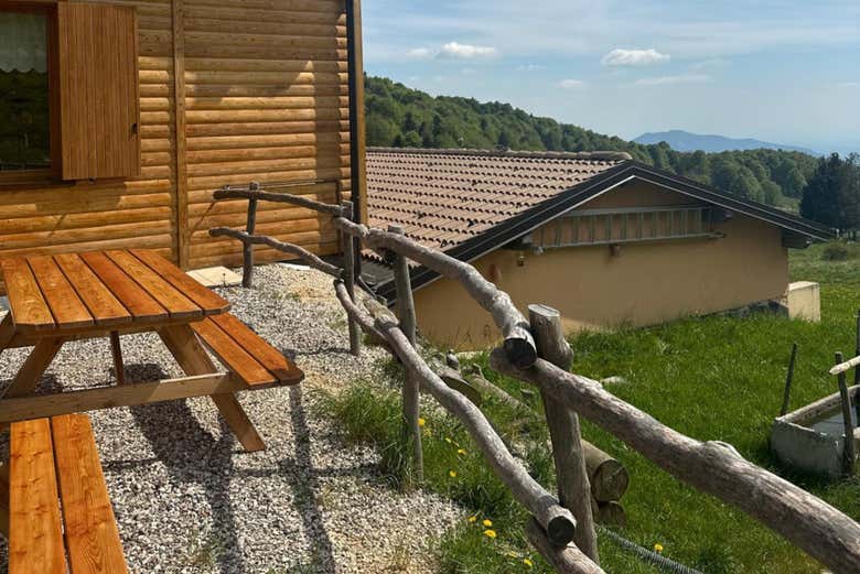 Enjoy a delicious lunch with authentic mountain cuisine