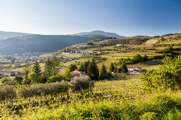 Valpolicella Electric Bike Wine Tour