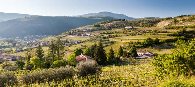 Visite à la découverte du vin à vélo électrique à Valpolicella