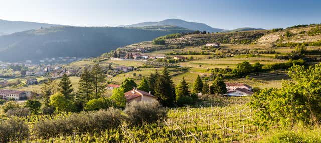 Valpolicella Electric Bike Wine Tour