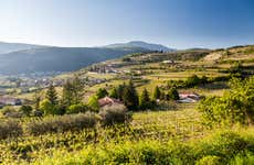 Tour del vino en bicicleta eléctrica por Valpolicella