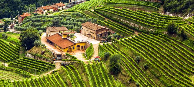 Tour del vino por Valpolicella