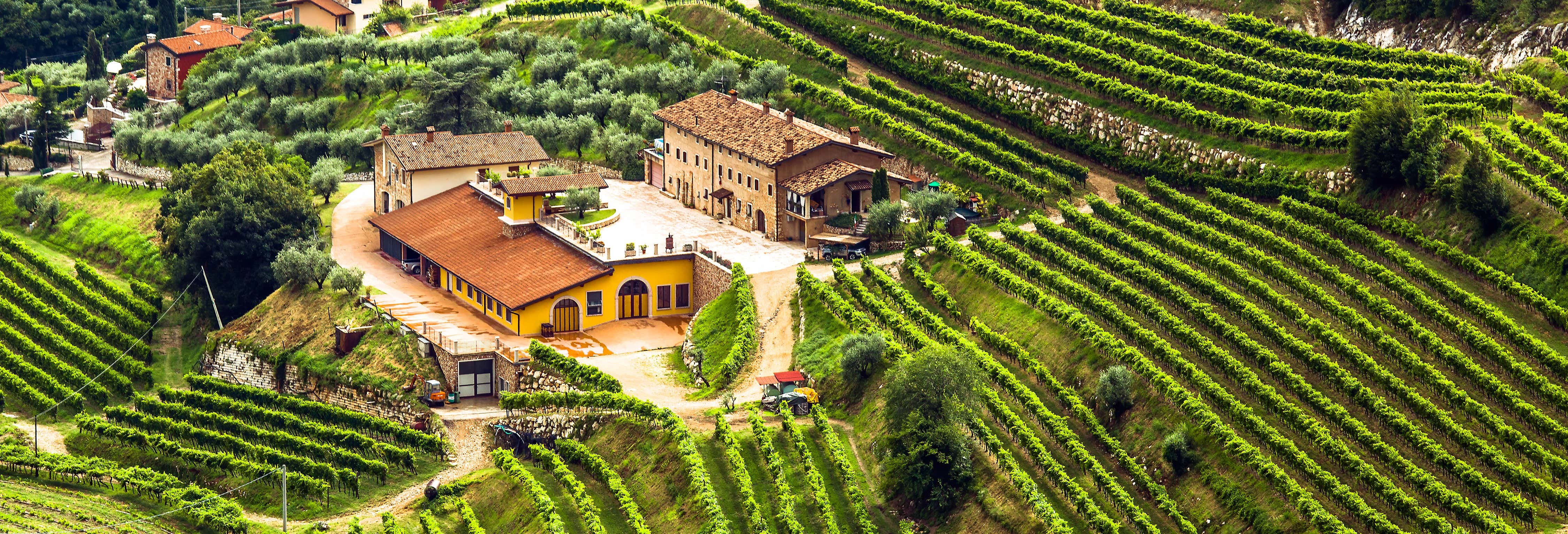 Gastronomie et œnotourisme à Vérone