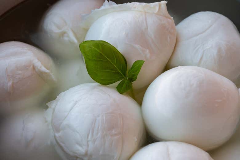 Plusieurs boules de mozzarella