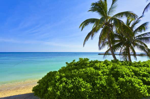 Aluguel de jet ski em Montego Bay