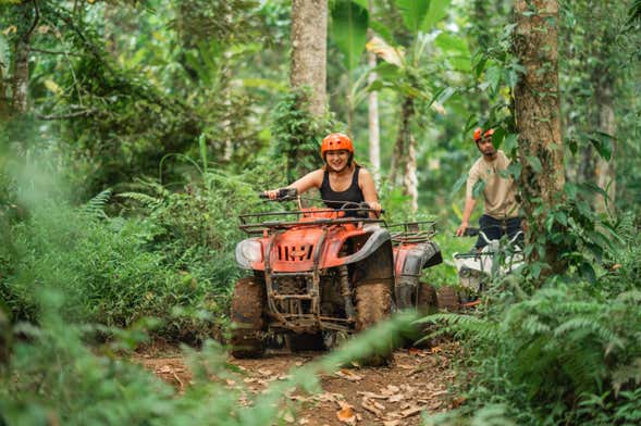 Excursion à Camp Irie Adventures