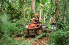 Excursión a Camp Irie Adventures