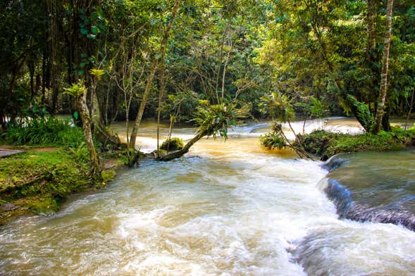Escursione alle cascate del fiume Dunn