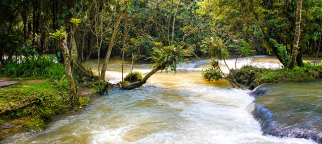Excursión a las cascadas del río Dunn