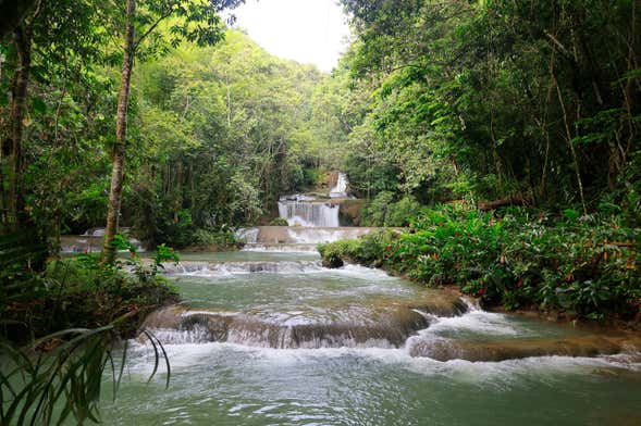 Black River & YS Falls Day Trip