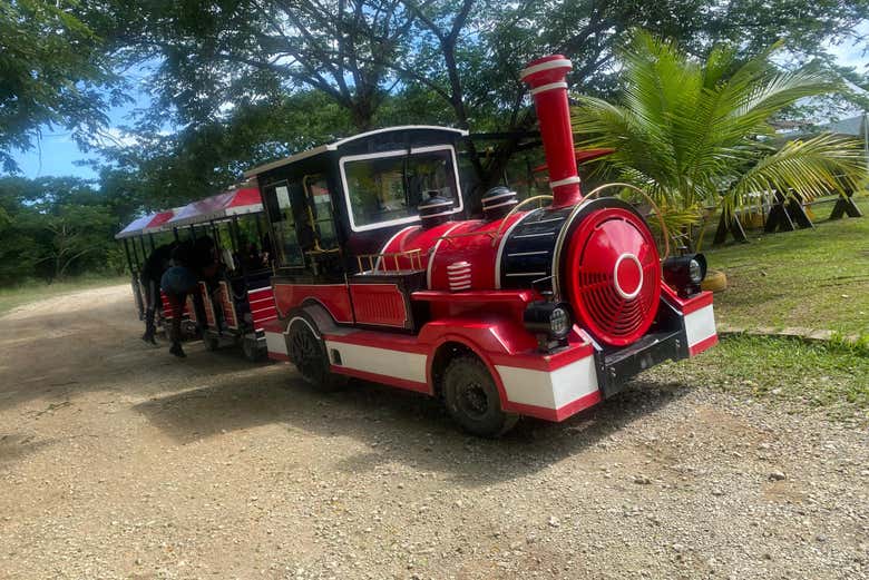 El tren listo para el paseo en Cam Irie