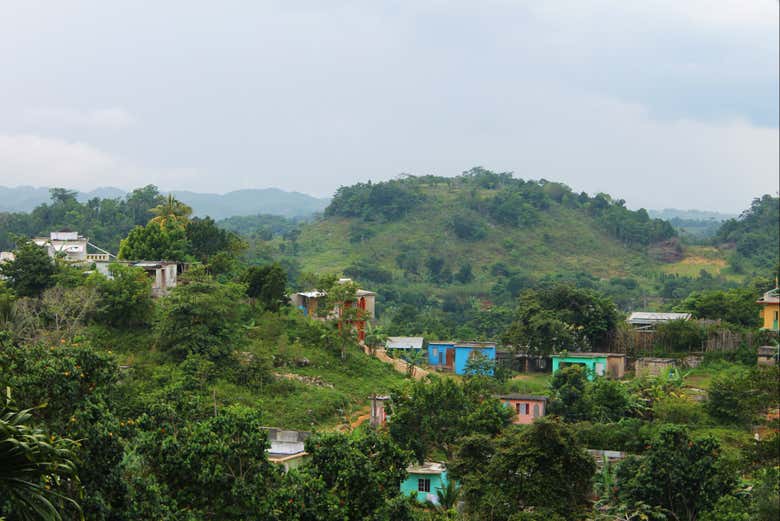 Immerse yourself in the lush greenery of the surroundings