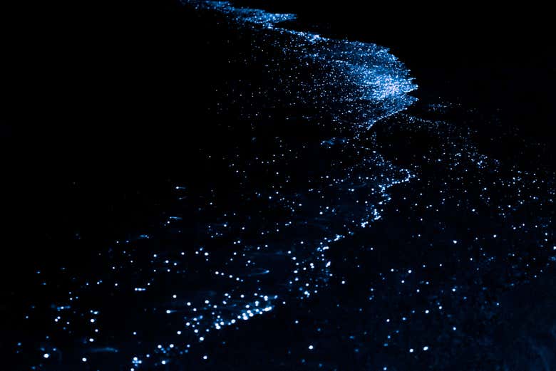 Las aguas luminosas de la costa de Falmouth
