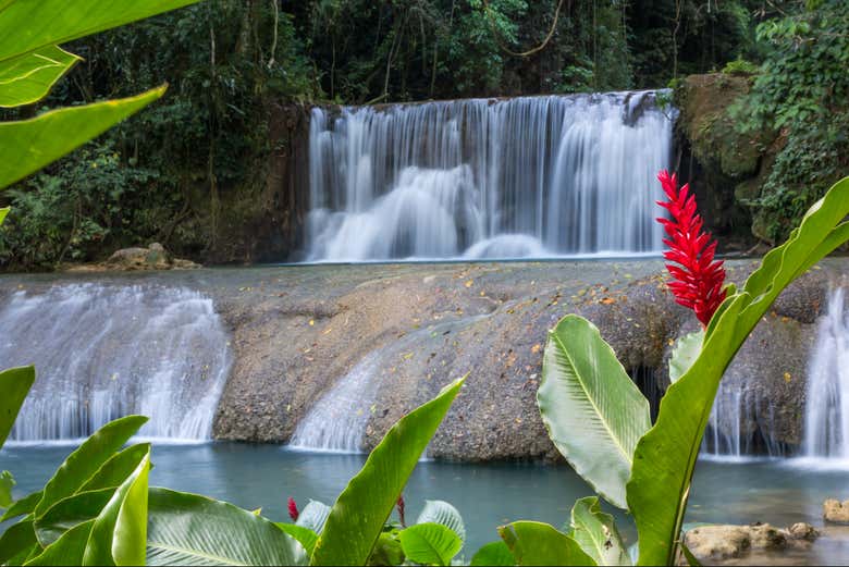Las cascadas YS son toda una joya natural de Jamaica
