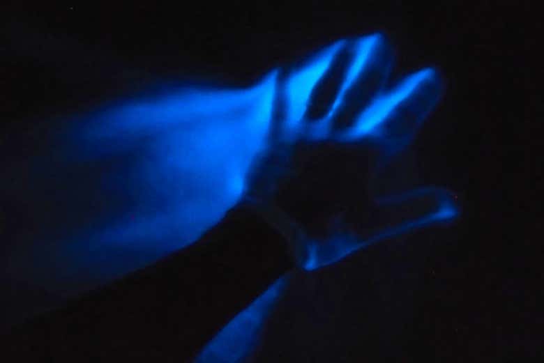 Glowing in the Luminous Lagoon