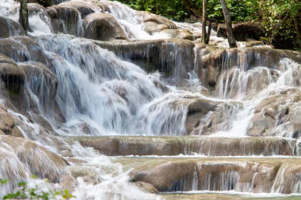 Tour di Bob Marley + Cascate del fiume Dunn