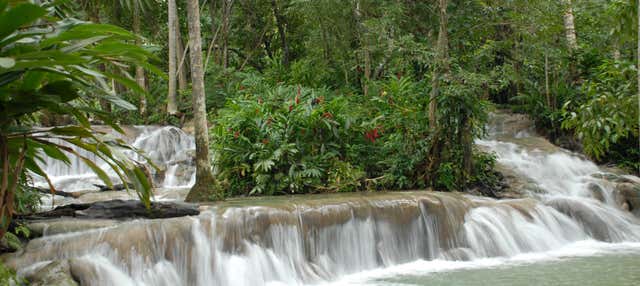 Excursión a las cascadas del río Dunn